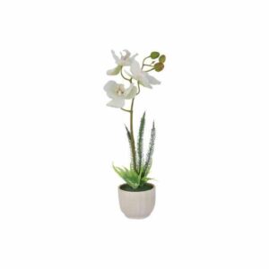 Декоративные цветы Орхидея белая в керамвазе Dream Garden 2