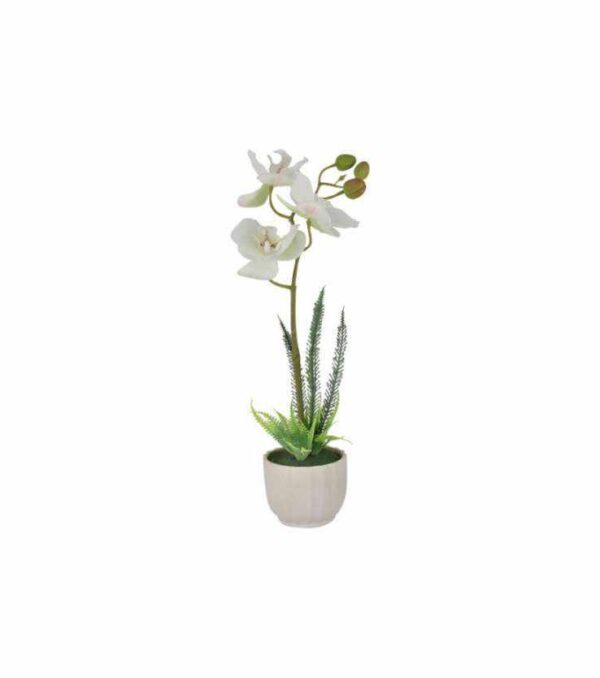Декоративные цветы Орхидея белая в керамвазе Dream Garden 2