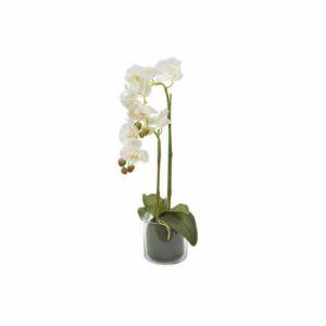 Декоративные цветы Орхидея белая в стеклянной вазе Dream Garden 2
