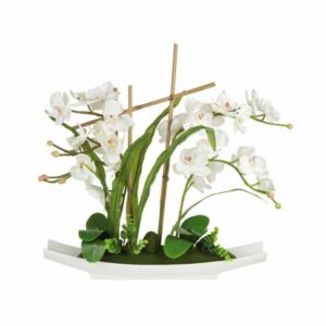 Декоративные цветы Орхидея белаяна керамической подставке Dream Garden 2