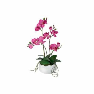 Декоративные цветы Орхидея бордо в керамической вазе Dream Garden 2