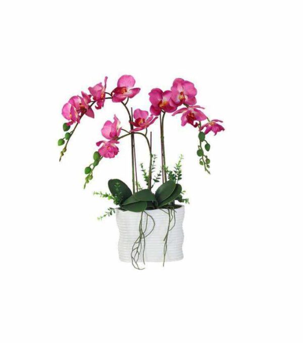 Декоративные цветы Орхидея тем розовая в керамической вазе Dream Garden2