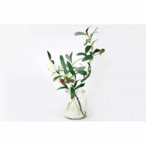 Декоративные цветы Сакура белая и ветвь оливы в стеклвазе Dream Garden2
