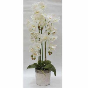 Декорцветы Орхидеи белые в керамвазе Dream Garden 2
