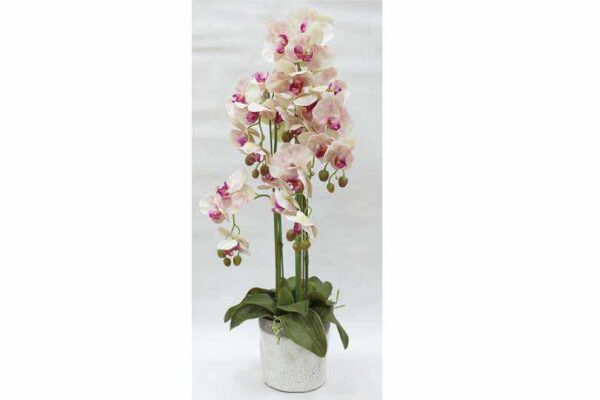Декорцветы Орхидеи сврозовые в керамвазе Dream Garden 2