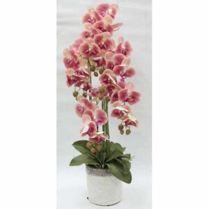Декорцветы Орхидеи тёмрозовые в керамвазе Dream Garden 2