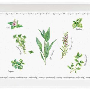 Поднос с ручками Herbarium Поднос Easy Life (R2S) 58550 2