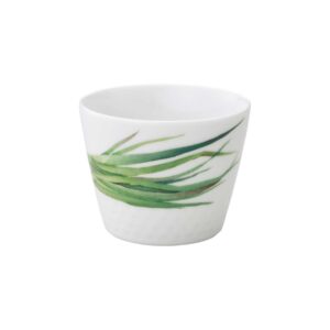 Чаша Noritake Овощной букет Зелёный лук 9см1