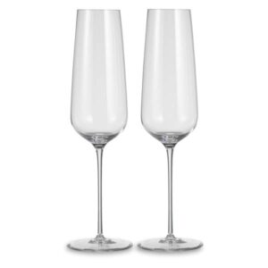 Набор бокалов для шампанского Nude Glass Невидимая ножка 300 мл 2